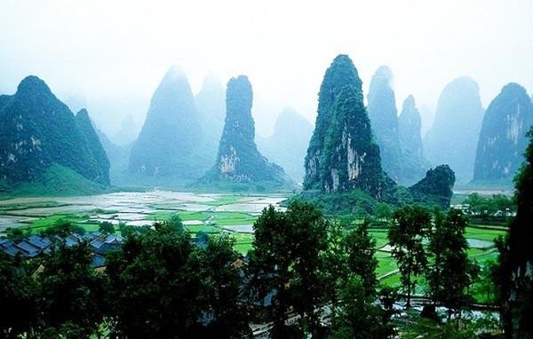 植物大战僵尸反击篇